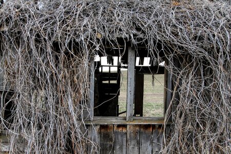 Farm architecture rural photo