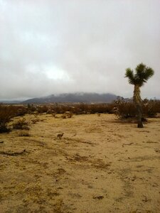 Desert california photo