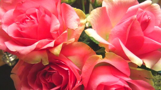 Romantic floral bouquet