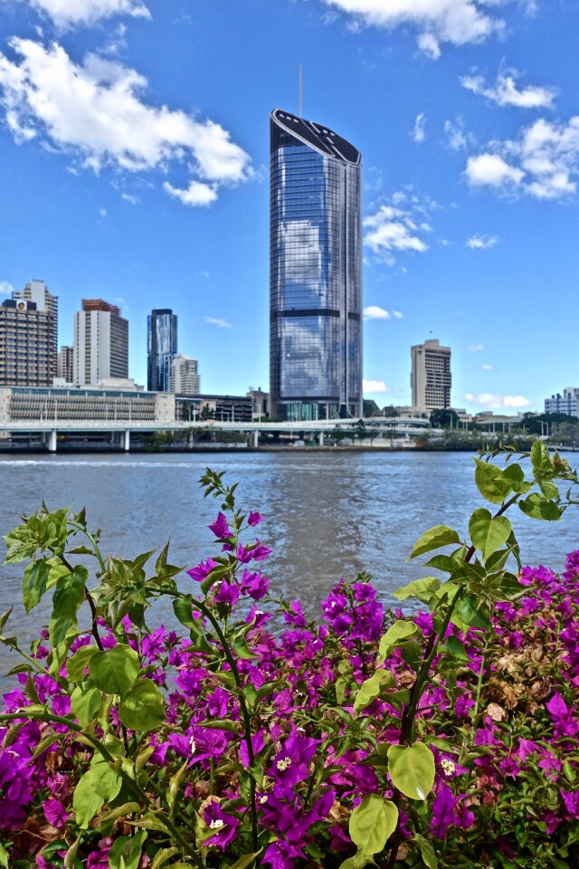 Brisbane river skyline