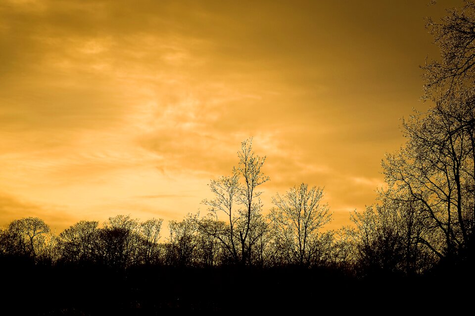 Nature landscape mood