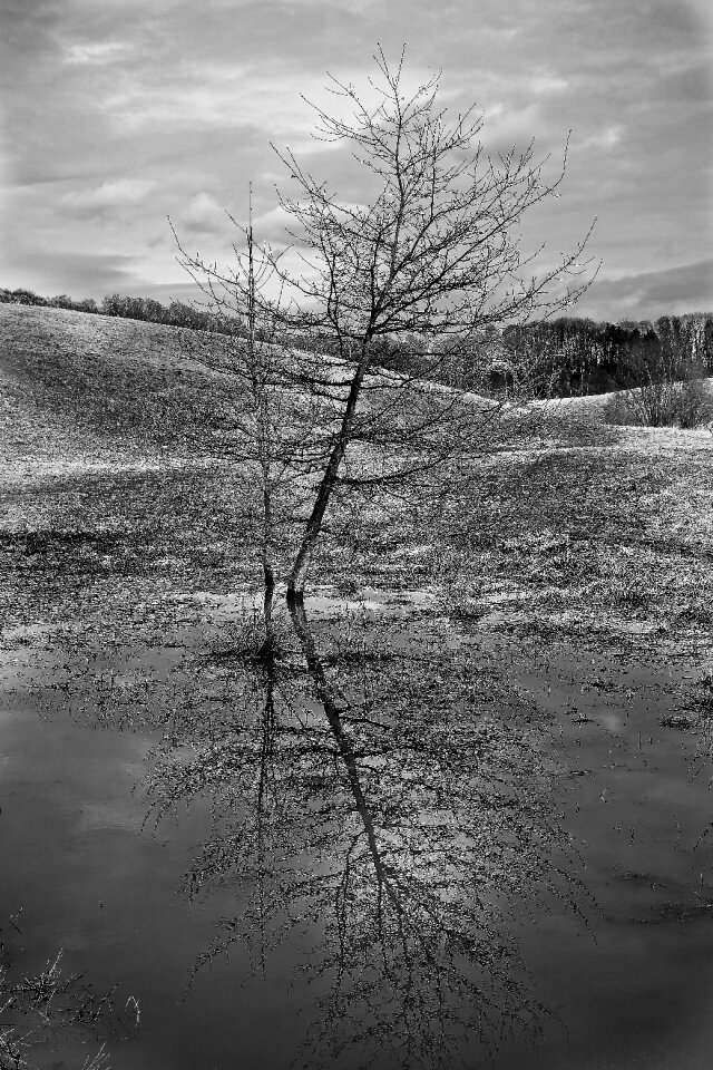 Landscape nature autumn