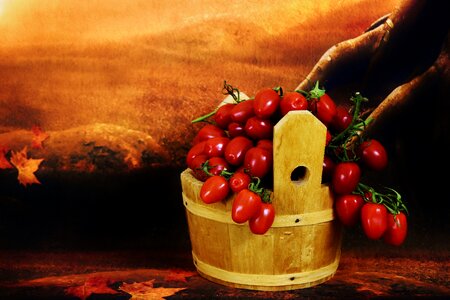 Vegetables healthy harvest