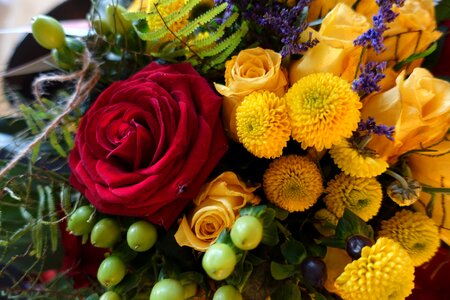 Flower bouquet bouquet of flowers celebration photo