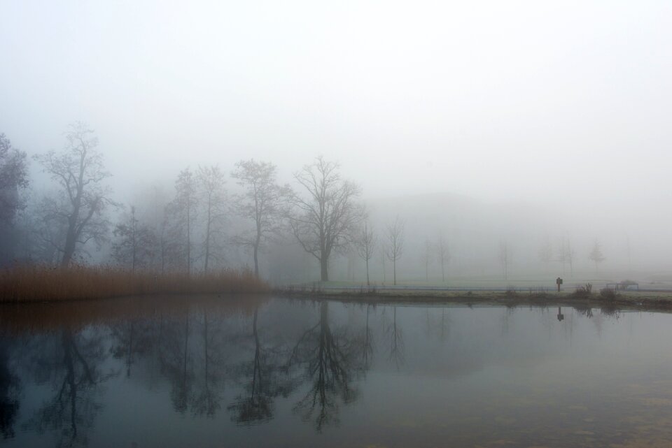 Fog autumn mirroring