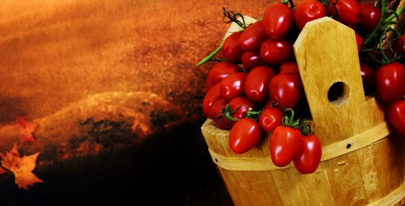 Vegetables healthy harvest