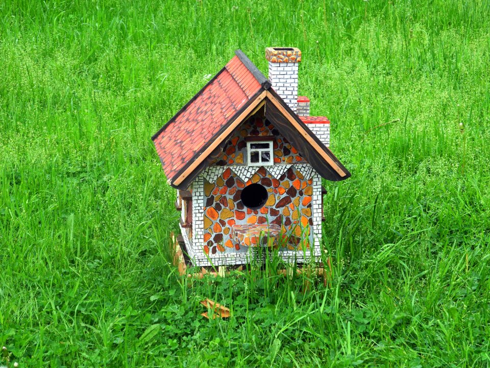 Cottage house for proteins summer