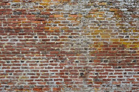 Brick wall brick wall background texture photo