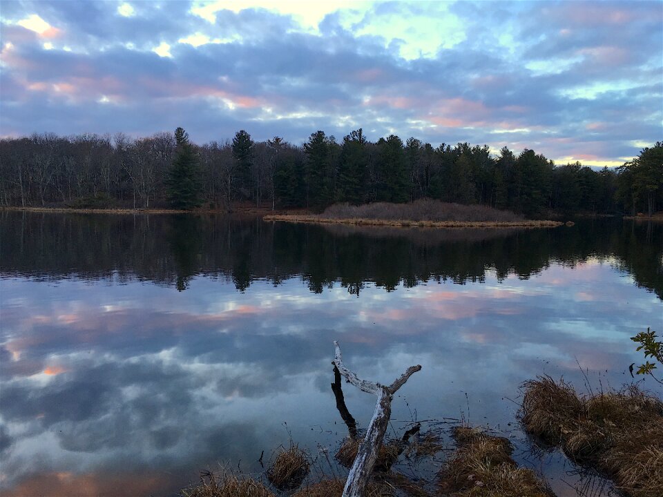 Water nature landscape