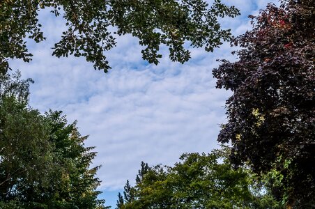 Summer clouds heart