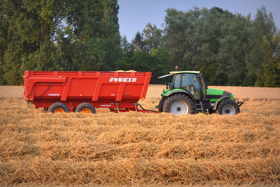 Grain agriculture field
