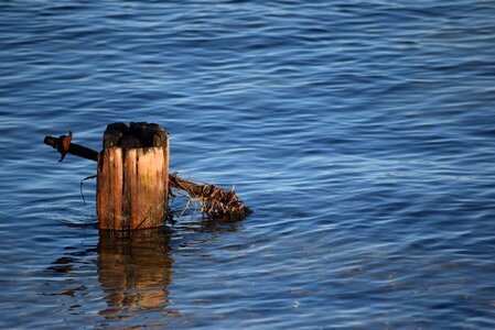 Brown blue sea