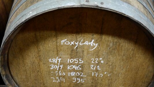 Winery cask cellar photo