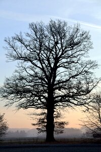 Winter sunrise sky