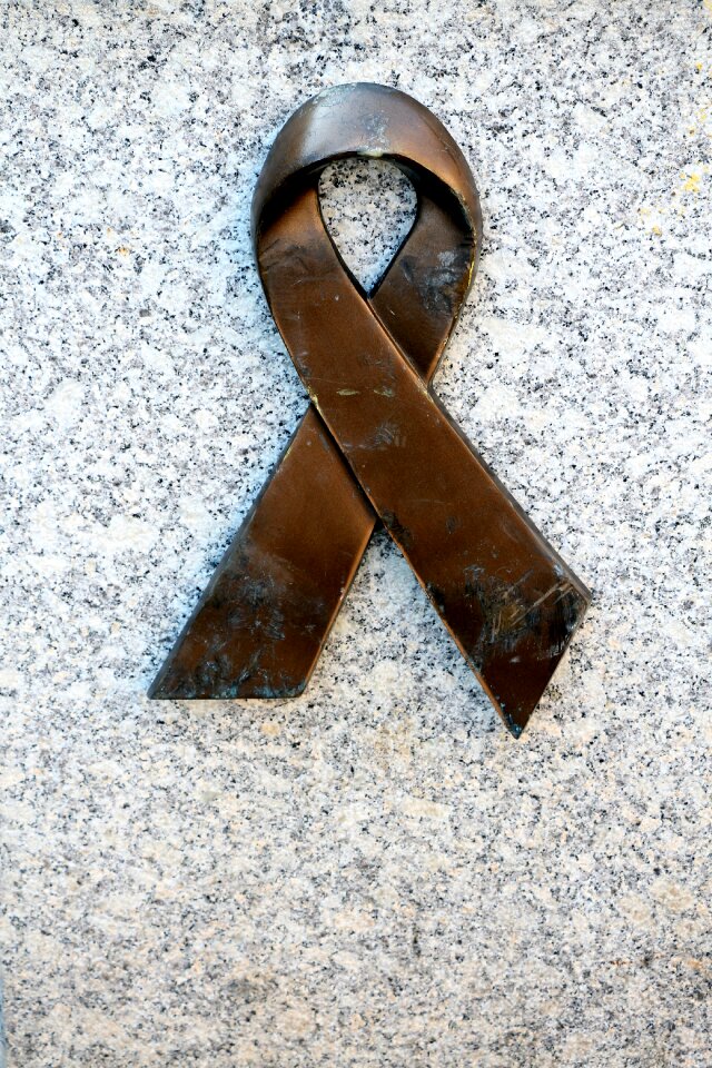 Bronze tribute commemorate