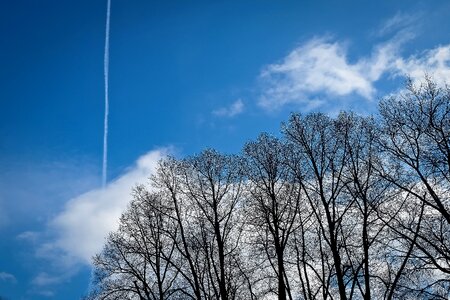 Nature landscape mood