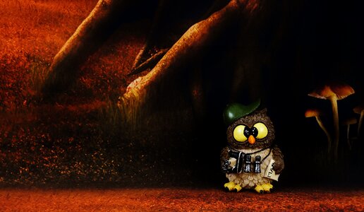 Funny forest tourist