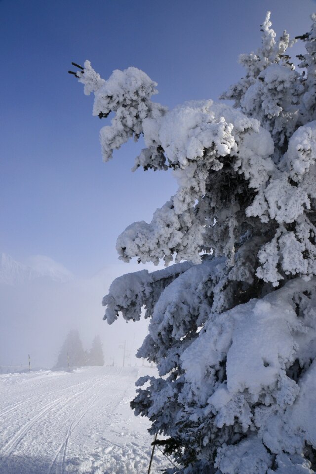 Winter mountain landscape
