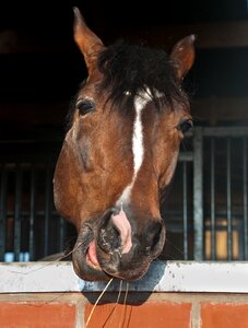 Window to chew straw