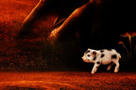 Cute lucky pig lucky charm