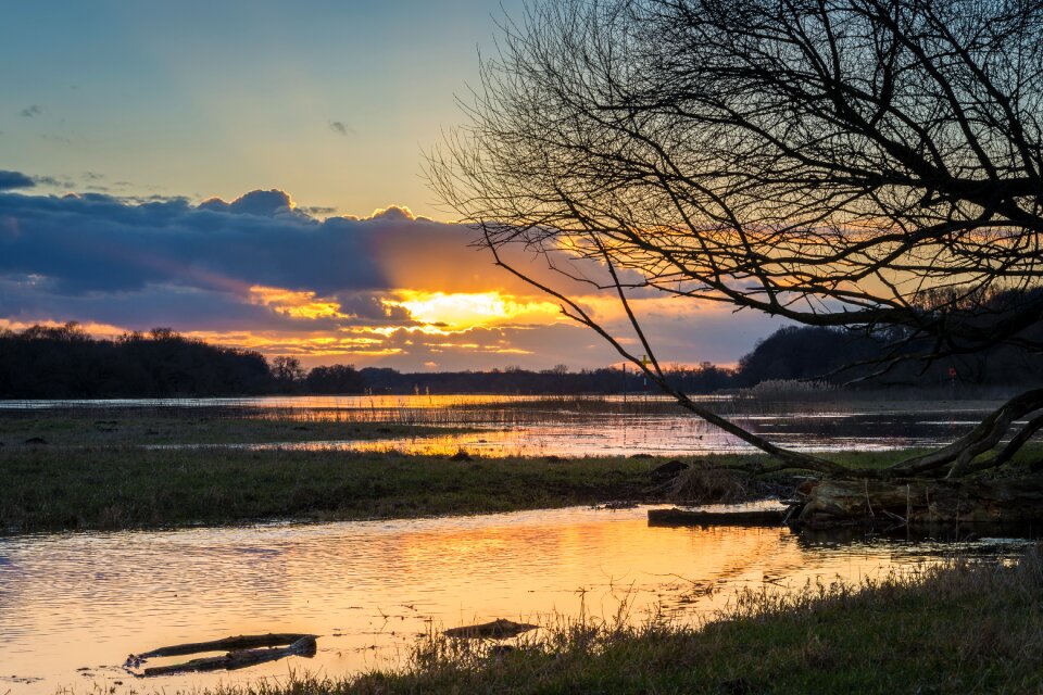 River current nature