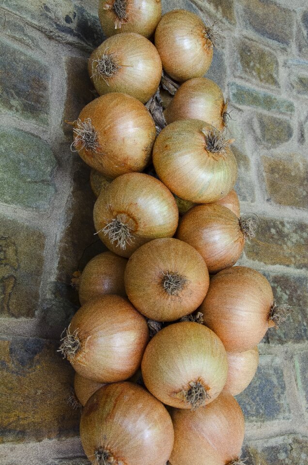 Texture brown onion