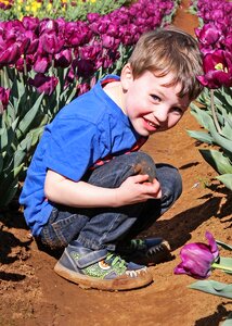 Tulips portrait crouching
