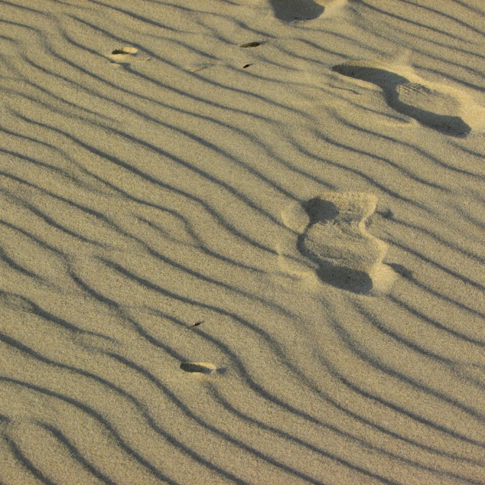 Sandy beach elephant rock beach