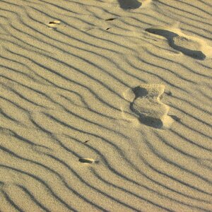 Sandy beach elephant rock beach