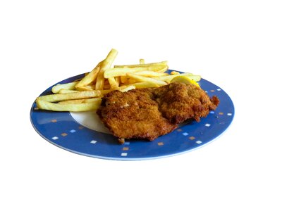 Meat french fries