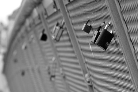 Locks on the bridge locks of love black and white photo