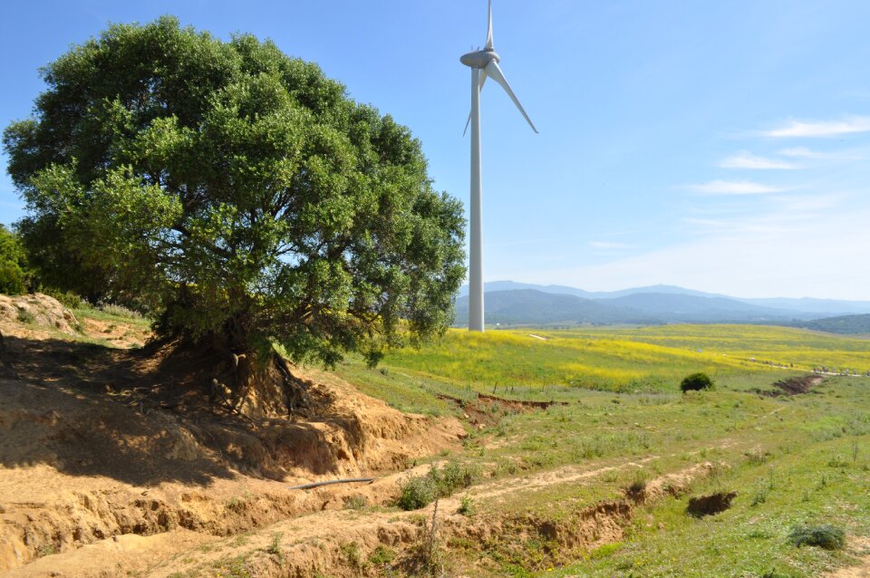 Ecological renewable energy wind