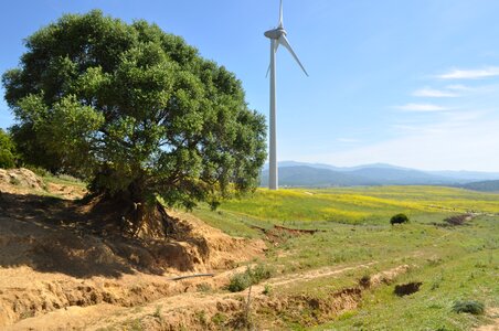 Ecological renewable energy wind photo