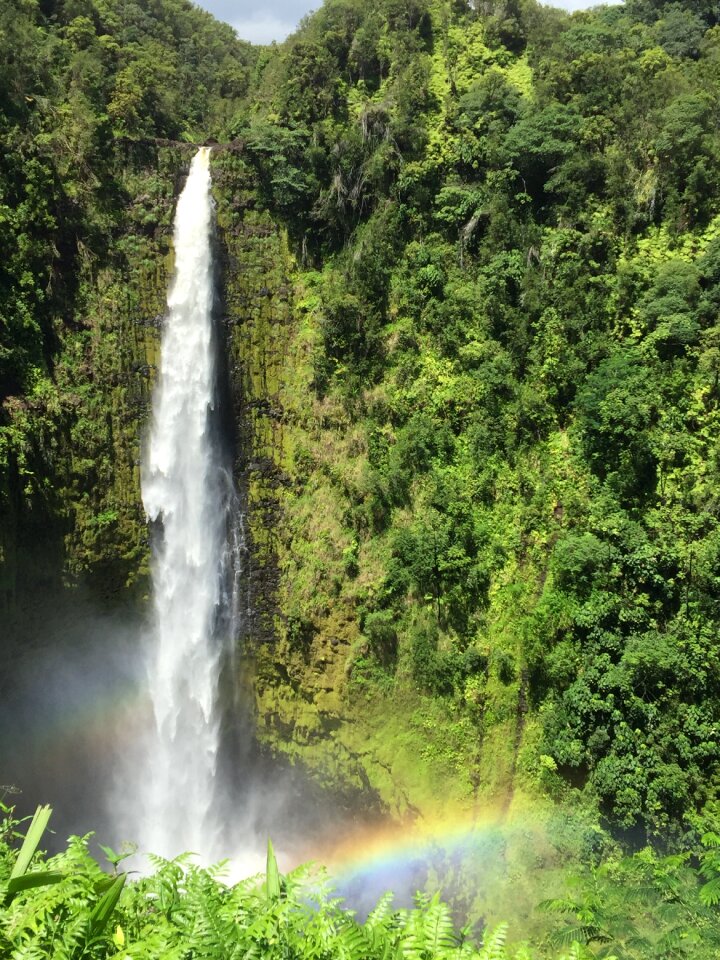 Rainbow green rainbow green island