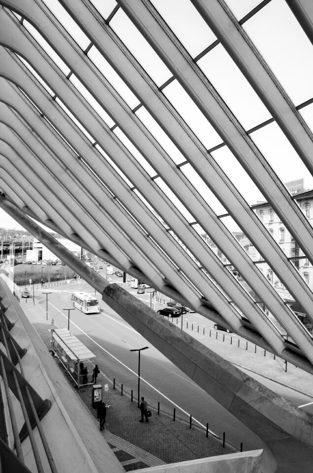 Building black white lines
