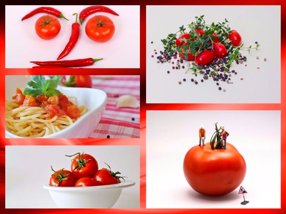Fresh red collage