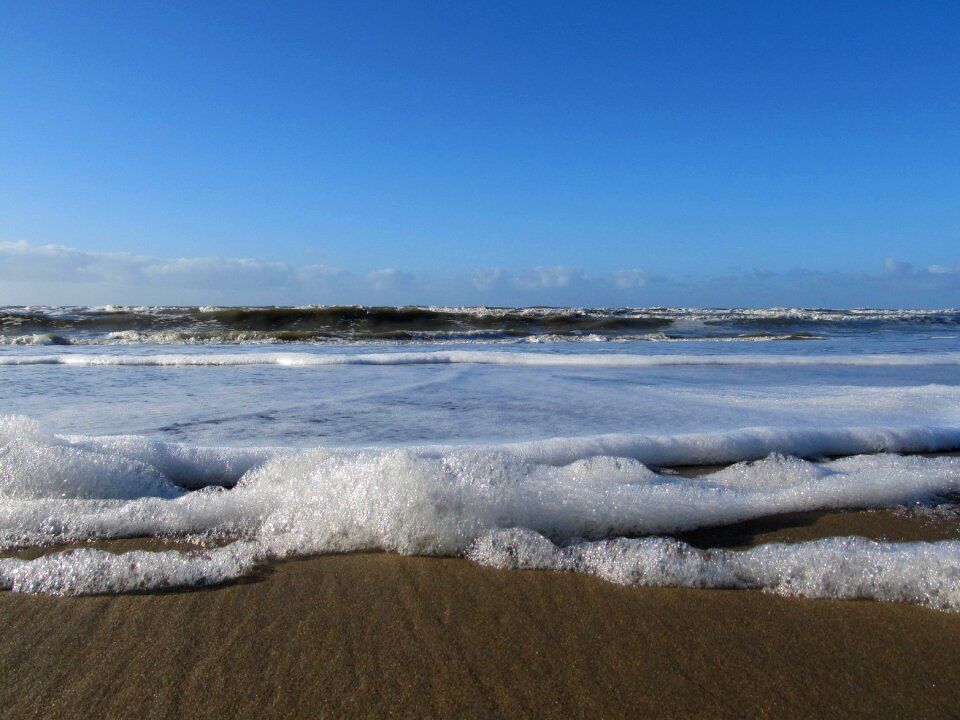Zealand beach nature
