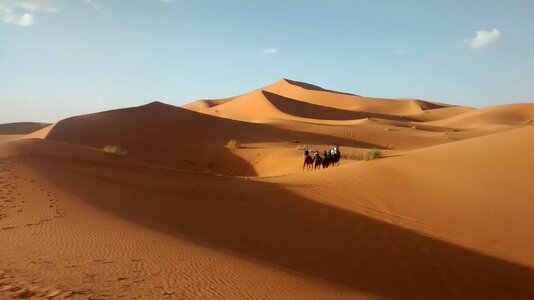 Desert morocco dunes