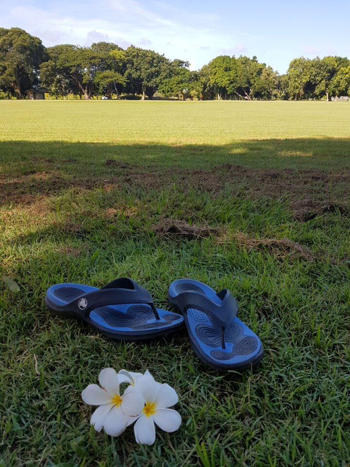 Happy outdoors summer