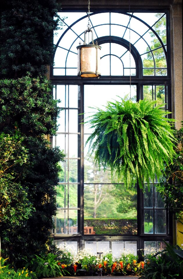 Conservatory greenhouse