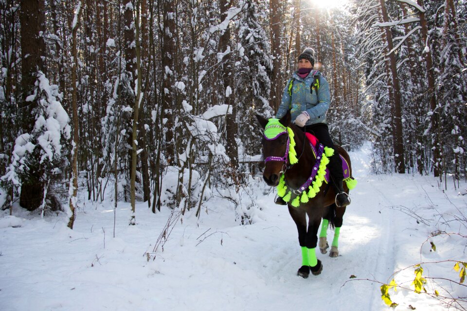 Riders stroll nature
