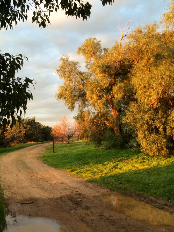 Country road trail