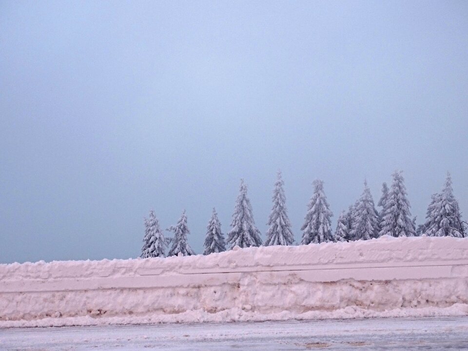 Snow landscape snowy forest photo