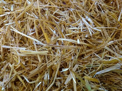 Straw hay haystack photo