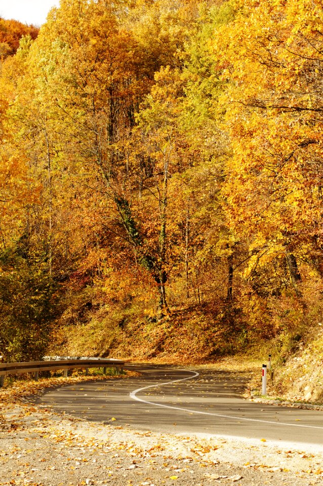 Fall bosnia asphalt