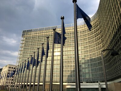 Berlemont european commission