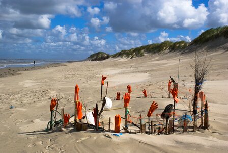 Beach flotsam nordfriesland photo