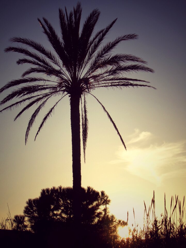 Sunset sky nature
