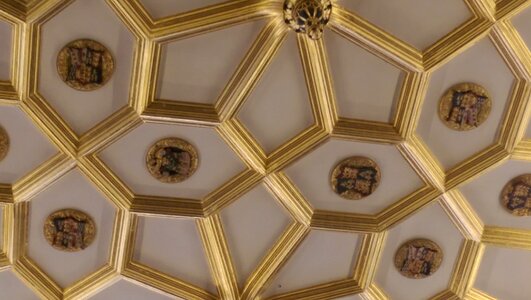 Ornate ceiling ceiling photo