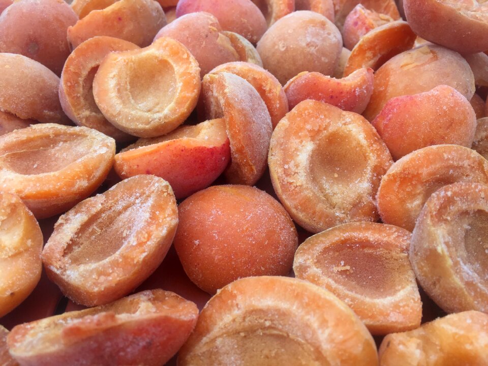 Apricots fruit Free photos